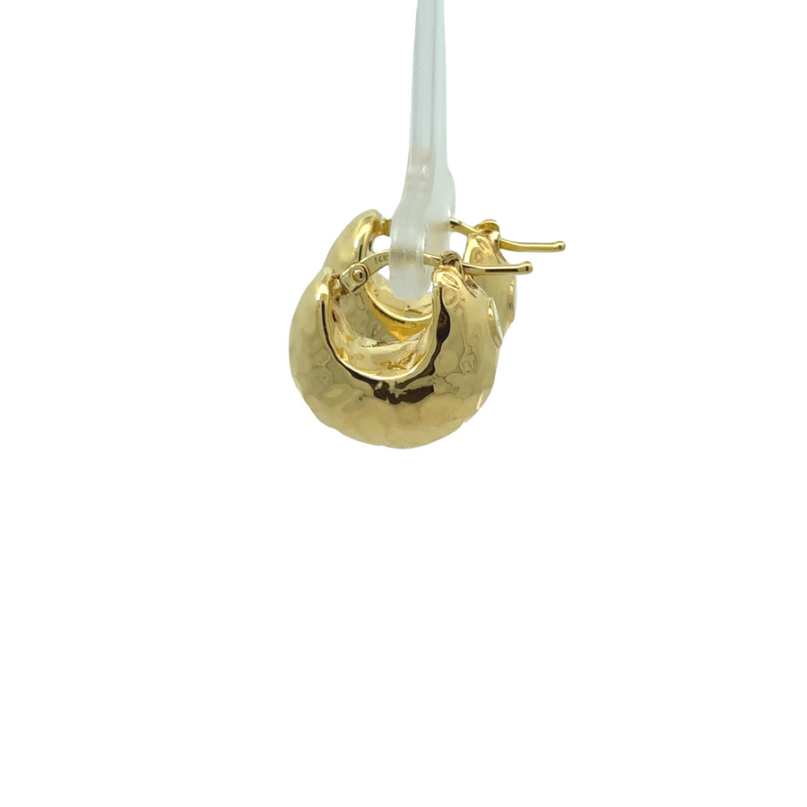 Timeless 14k gold earrings on white background