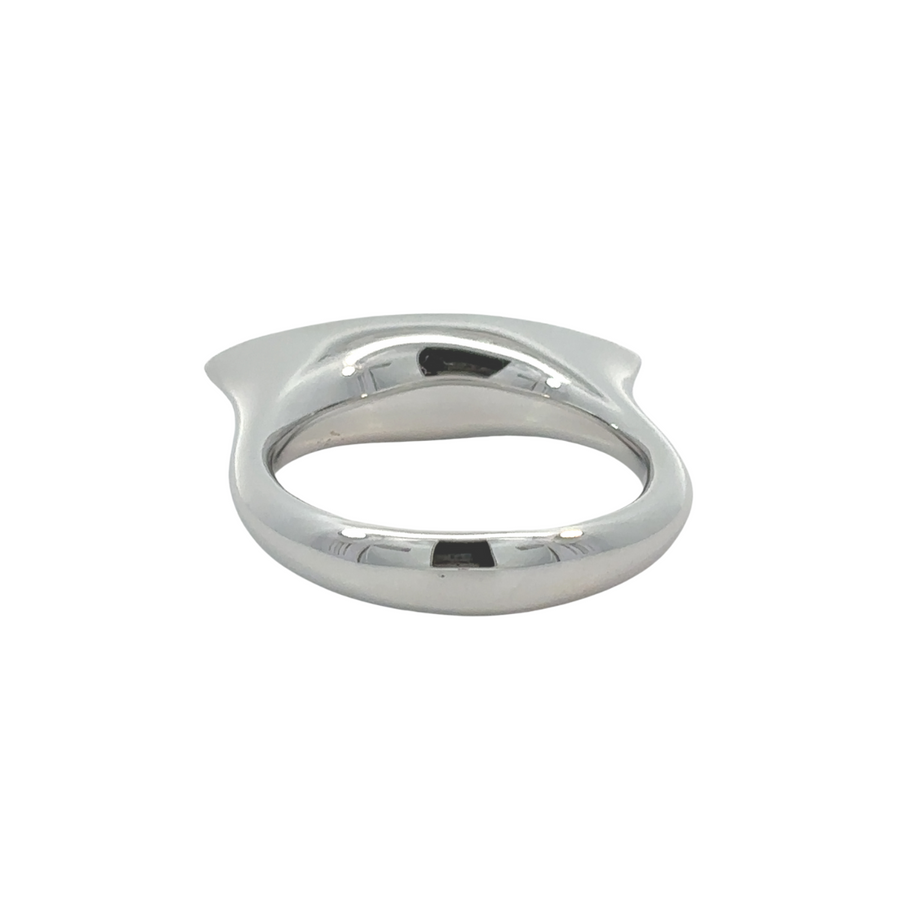 Close-up of black silver ring on white background